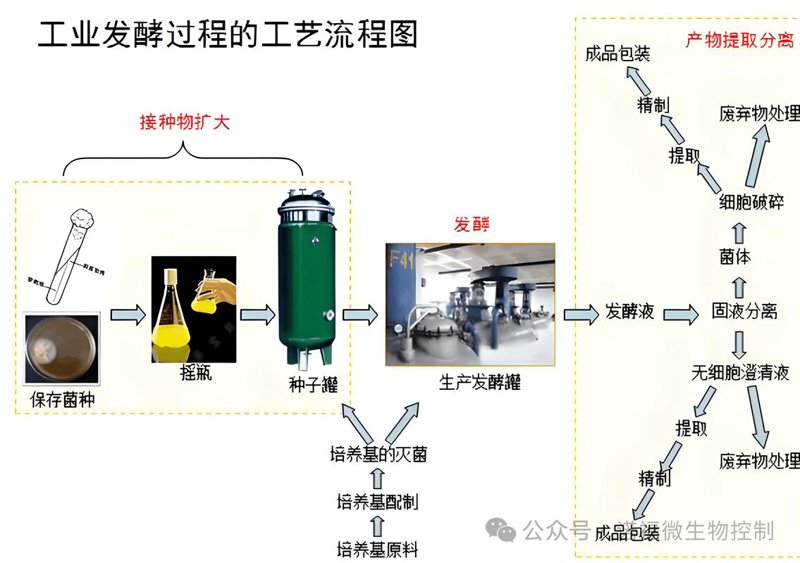 生物制品行业：从基因工程到疫苗开发的前沿探索