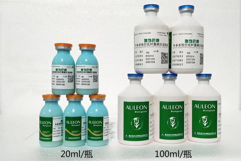 生物科技公司的新时代：西安引领创新风向标